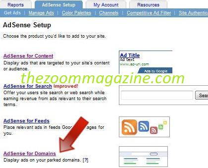 make money from adsense for domains
